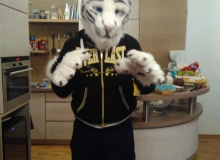 Felix Stripes fursuit