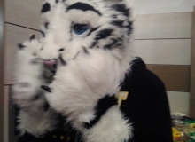 Felix Stripes fursuit