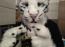 Felix Stripes fursuit