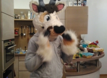 Zanzibar fursuit