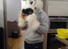 Zanzibar fursuit