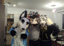 Zuzu, Zanzibar and Felix Stripes fursuit