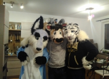 Zuzu, Zanzibar and Felix Stripes fursuit