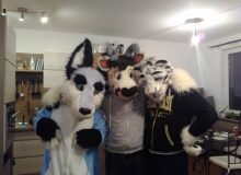 Zuzu, Zanzibar and Felix Stripes fursuit