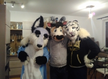 Zuzu, Zanzibar and Felix Stripes fursuit