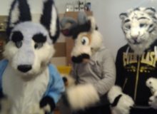 Zuzu, Zanzibar and Felix Stripes fursuit