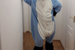 2018-05-16 Felix stripes in zuzu kigu