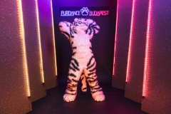 2022 Furdance Budapest photoshoot