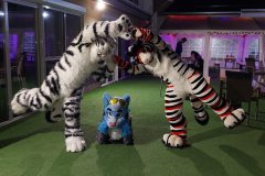 2025-04-26 Seasonfurs Spring