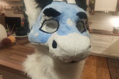 2025-10-24 Zephyr gallery