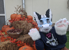 PXL_20251025_152914992