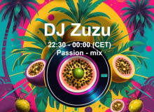 1_Dj_Zuzu_event_flyer_20241122
