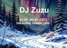 1_Dj_Zuzu_event_flyer_20241220