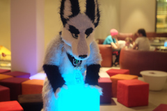 2017 Eurofurence 23 - Buteo photos
