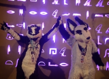 We are the champions: JazzBadger + Zuzu