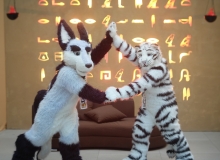 We are forming a stargate: Zuzu + Felix Stripes