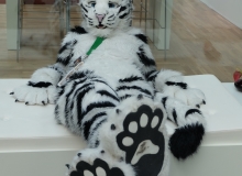 Felix Stripes cillin at EF 23