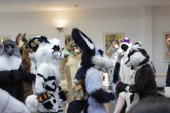 2015 Eurofurence 21