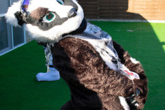 2022-01-15 Winterfurs