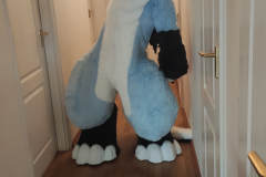 2025-08-22 Zuzu Dutchie