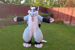 2025-08-19 Zuzu Dutchie