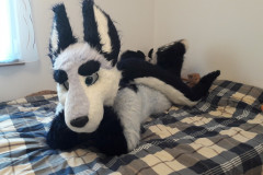 2018-06-03 Zuzu photoshoot