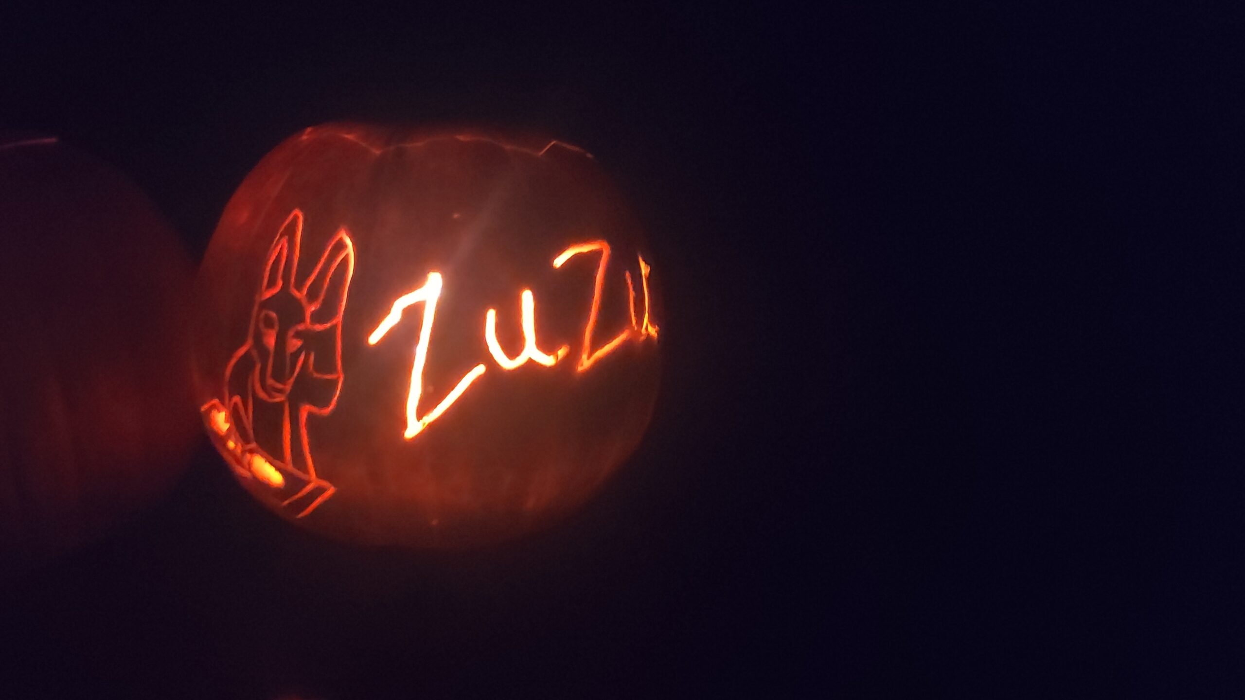 Jack o Lantern Dj Zuzu