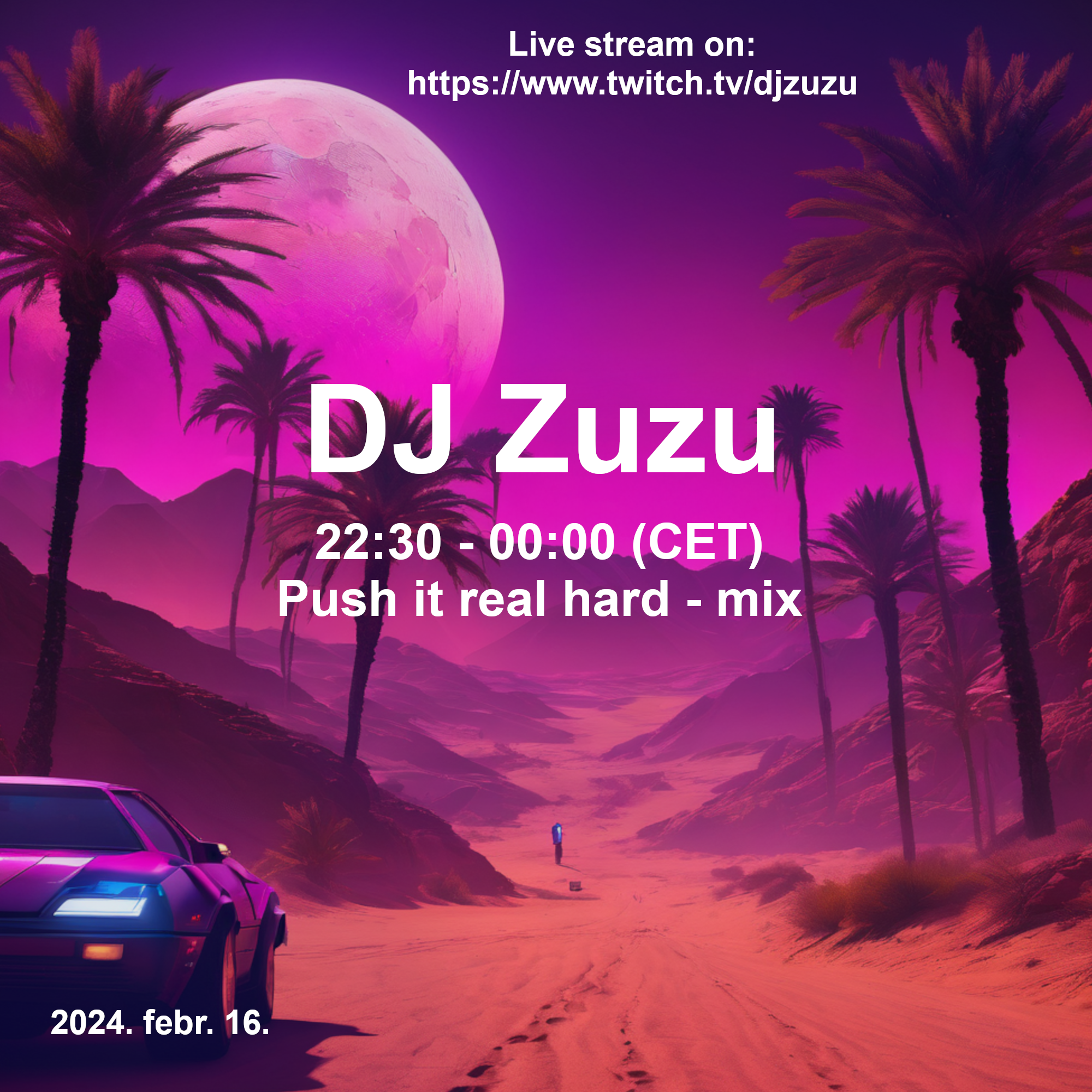 Dj Zuzu Push it real hard mix event flyer 20240216