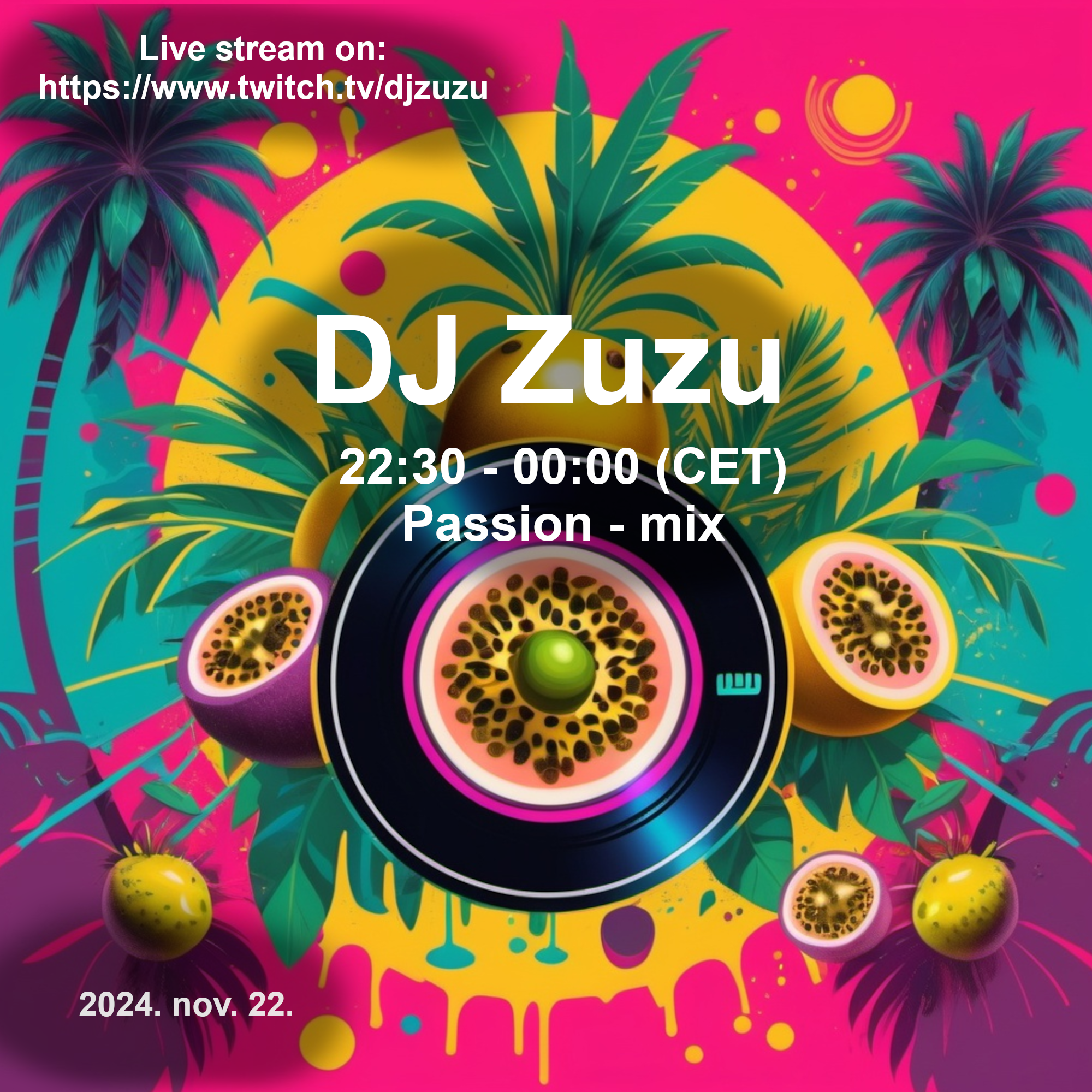 Dj Zuzu Passion event flyer 20241122