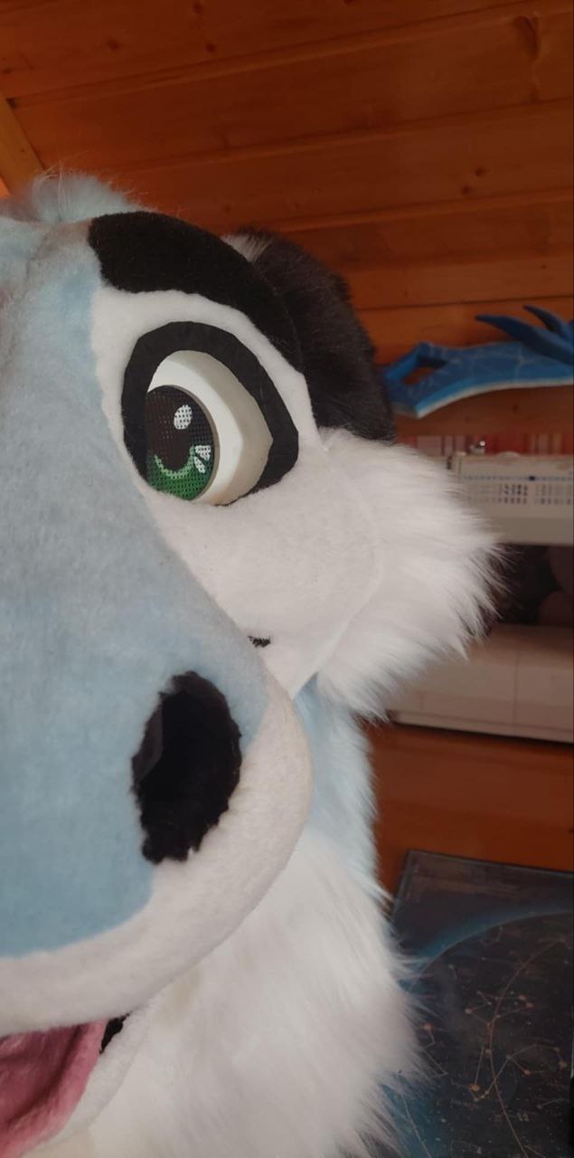 New Zuzu head