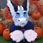 Zephyr with some pumpkins