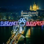 Furdance Budapest